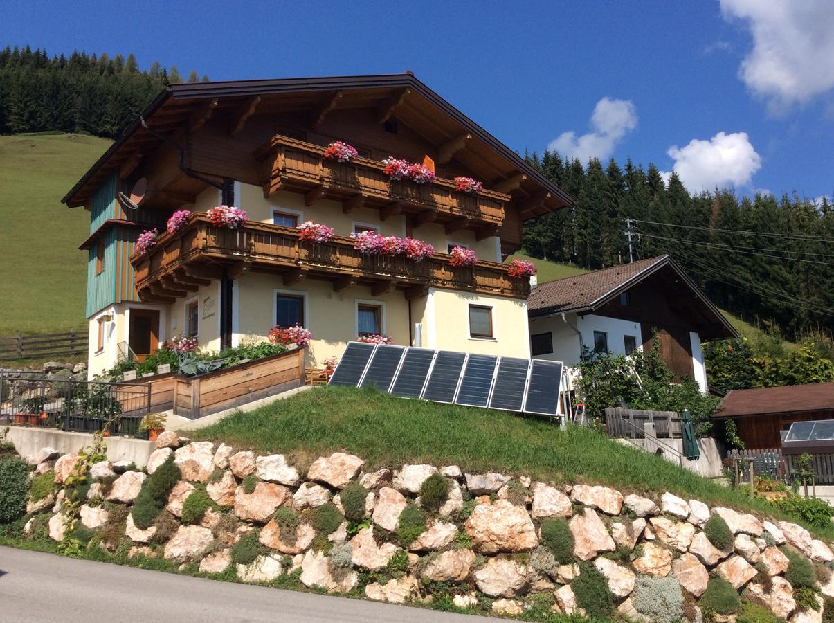 Haus Erika Apartamento Wagrain Exterior foto