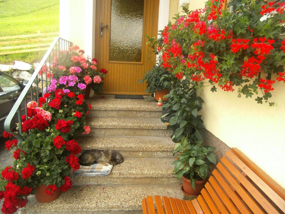 Haus Erika Apartamento Wagrain Exterior foto